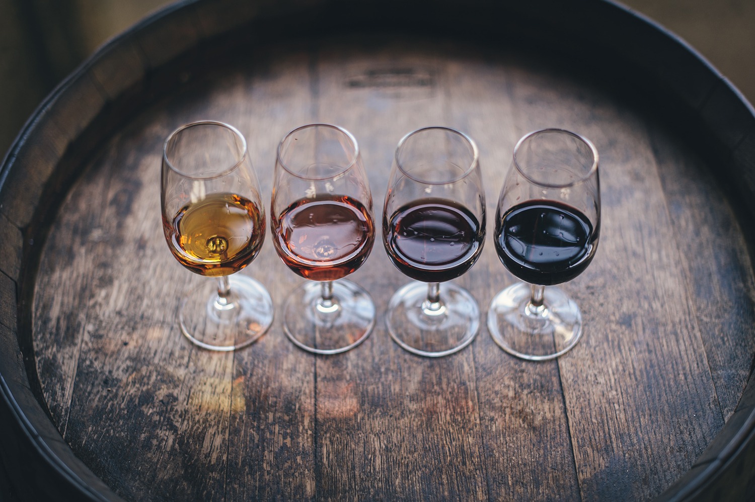 four glasses with different wines