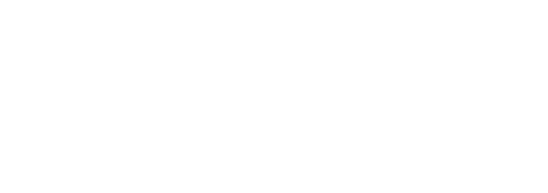 PalmTree Grill Italian Night